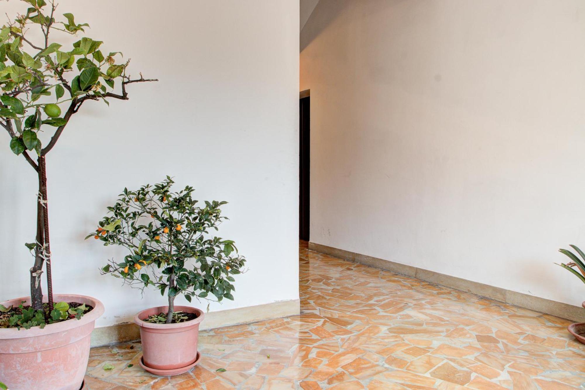 Casa Emilia Apartment Volterra Ngoại thất bức ảnh